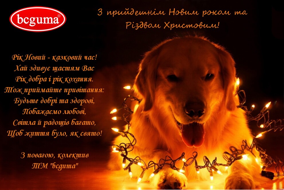 З Новим роком та Різдвом Христовим!
